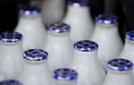 آیا در لبنیات پرچرب از روغن پالم استفاده می شود؟