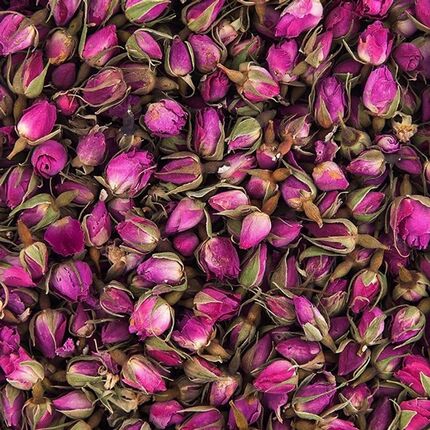 پیش‌بینی برداشت ۲۳۰ تن گل محمدی در بروجرد