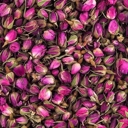 پیش‌بینی برداشت ۲۳۰ تن گل محمدی در بروجرد