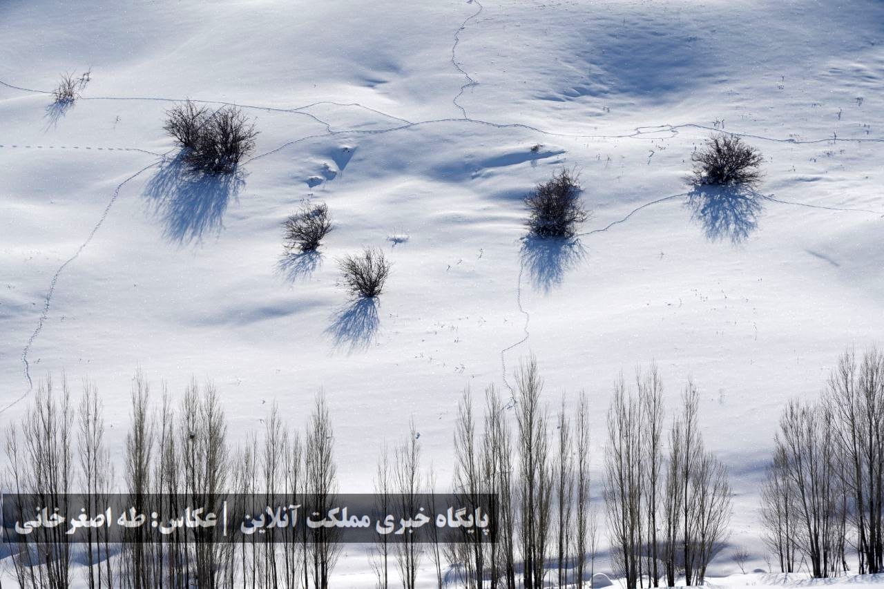 ارومیه زیر پوست برف