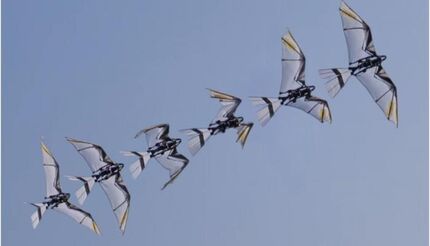 چینی‌ها، ربات پرنده ساختند