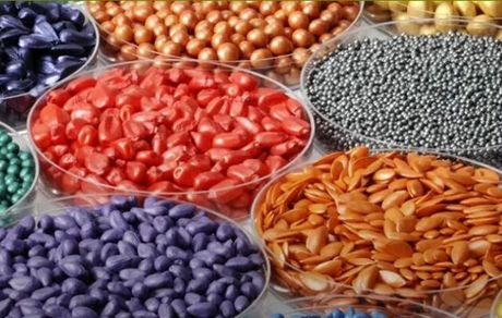 تولید ۹۸ درصد بذر کشور در داخل