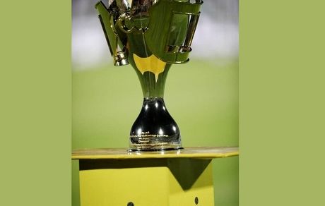 برنامه حضور مدیران ارشد وزارت ورزش برای اهدای جام لیگ برتر مشخص شد