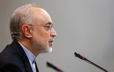 نیروگاه هسته‌ای بوشهر تا دو روز آینده وارد مدار تولید می‌شود