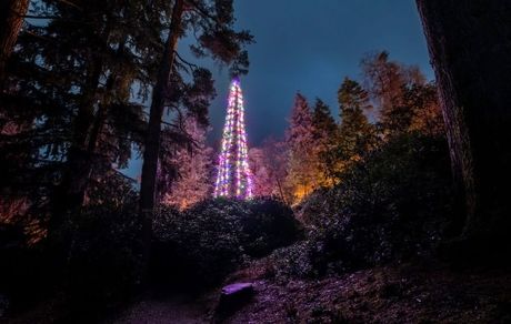 ثبت بلندترین درخت کریسمس جهان در گینس