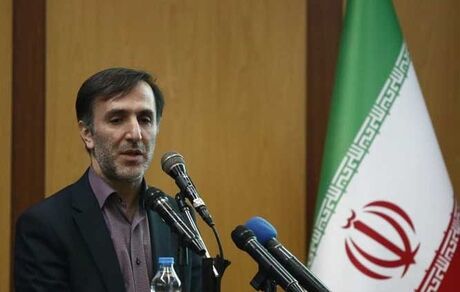 رییس‌کل سازمان توسعه تجارت: بیش از ۱۲۰۰ کارت بازرگانی رفع تعلیق شدند