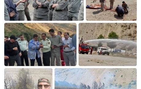 سوختن ۱۰۰ اصله درخت اُرس در استان البرز