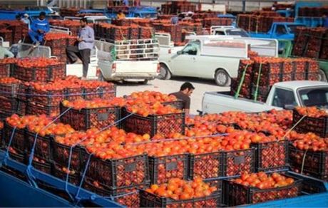 ازبکستان تمام میوه‌های تازه افغانستان را خرید