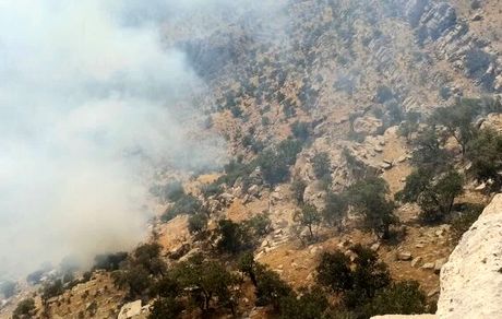 مهار آتش سوزی جنگل‌های سردشت