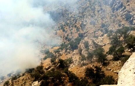 مهار آتش سوزی جنگل‌های سردشت