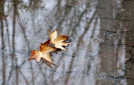 میزان بارندگی در استان کهگیلویه و بویراحمد نصف شد