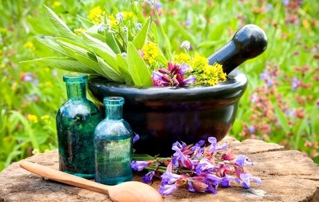 عرضه سنتی داروهای گیاهی ممنوع است