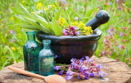 عرضه سنتی داروهای گیاهی ممنوع است