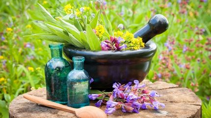 عرضه سنتی داروهای گیاهی ممنوع است