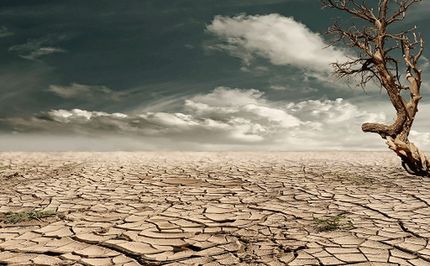 بدون تعارف هشدار می دهیم آب نیست/ مردم و مسئولان به‌هوش باشند