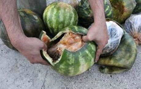 کشف محموله هندوانه با طعم تریاک