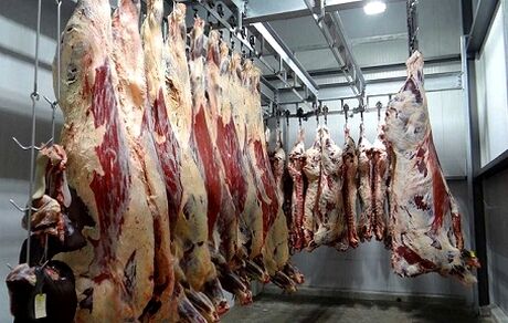 حجم تخلف فروش گوشت الاغ و اسب نگران کننده نیست/موادغذایی با قیمتهای نامتعارف ناسالم‌اند