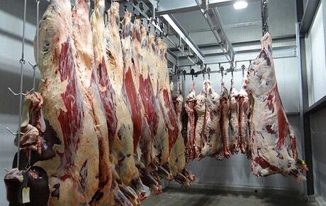 حجم تخلف فروش گوشت الاغ و اسب نگران کننده نیست/موادغذایی با قیمتهای نامتعارف ناسالم‌اند