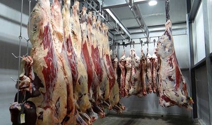 حجم تخلف فروش گوشت الاغ و اسب نگران کننده نیست/موادغذایی با قیمتهای نامتعارف ناسالم‌اند