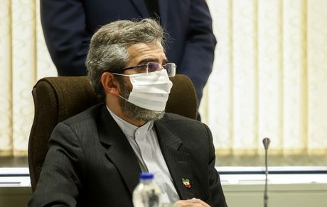 اعتراض باقری‌کنی نسبت به نقض حقوق شهروندان ایرانی در کشورهای عضو اتحادیه اروپا