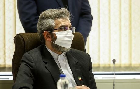 اعتراض باقری‌کنی نسبت به نقض حقوق شهروندان ایرانی در کشورهای عضو اتحادیه اروپا