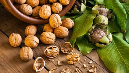 تاثیر مصرف منظم گردو در جلوگیری از پیشرفت سرطان روده بزرگ