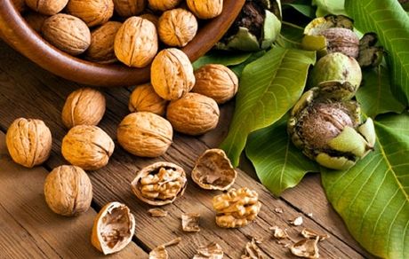 تاثیر مصرف منظم گردو در جلوگیری از پیشرفت سرطان روده بزرگ