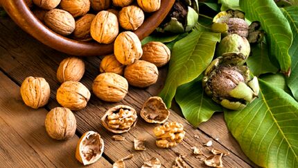 تاثیر مصرف منظم گردو در جلوگیری از پیشرفت سرطان روده بزرگ