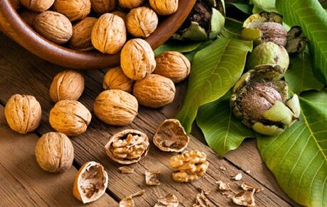 تاثیر مصرف منظم گردو در جلوگیری از پیشرفت سرطان روده بزرگ