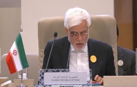 عارف: تنها راه حل مسئله فلسطین، همه پرسی است