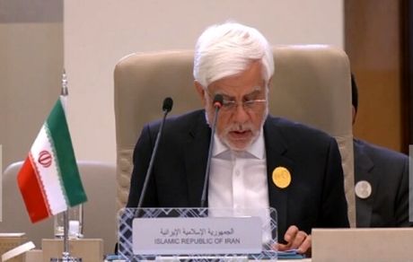 عارف: تنها راه حل مسئله فلسطین، همه پرسی است