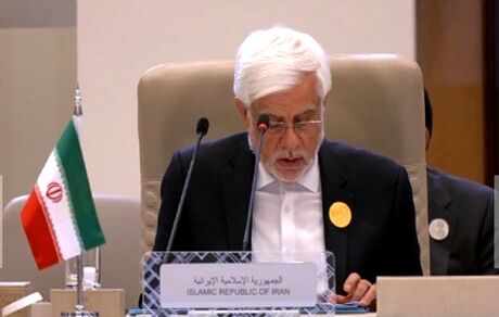 عارف: تنها راه حل مسئله فلسطین، همه پرسی است