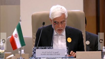 عارف: تنها راه حل مسئله فلسطین، همه پرسی است
