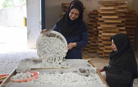 تشکیل کارگروه پیگیری مطالبات زنان کارگر در وزارت کار