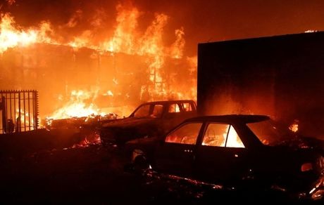 ۶۴ کشته براثر آتش‌سوزی مهیب جنگل‌های شیلی