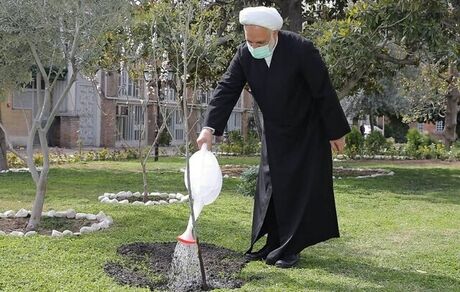 اژه‌ای: قوه قضائیه مصمم است دستان متجاوزان به منابع طبیعی را با اجرای قانون قطع کند