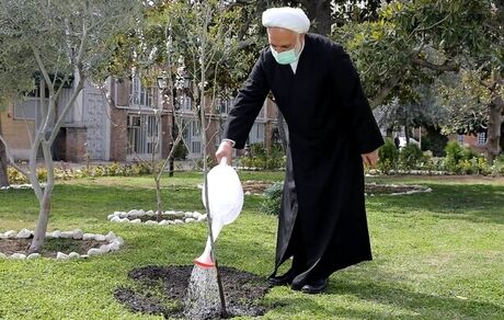 اژه‌ای: قوه قضائیه مصمم است دستان متجاوزان به منابع طبیعی را با اجرای قانون قطع کند
