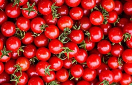وعده جدید: قیمت گوجه فرنگی ۱۰ روزه ارزان می‌شود