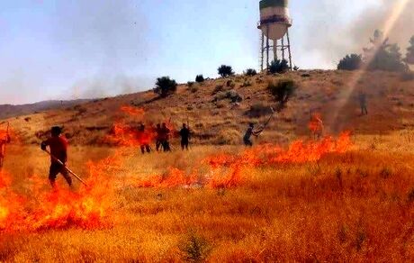 ۳ هکتار از مزارع جوی روستای سرچاه در چهارمحال و بختیاری سوخت