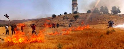 ۳ هکتار از مزارع جوی روستای سرچاه در چهارمحال و بختیاری سوخت