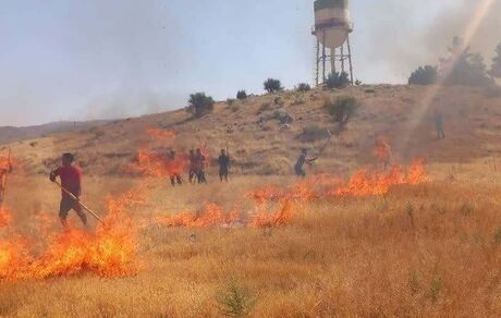 ۳ هکتار از مزارع جوی روستای سرچاه در چهارمحال و بختیاری سوخت