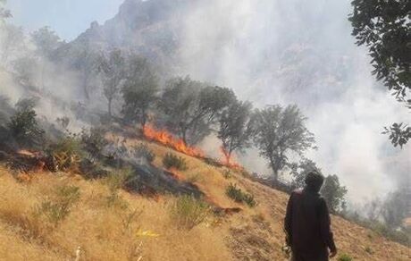 آتش‌سوزی کوه گوشتی ضرغام آباد کهگیلویه مهار شد