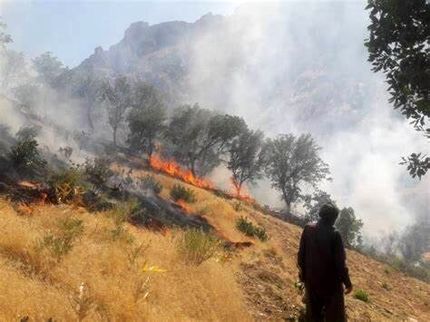 آتش‌سوزی کوه گوشتی ضرغام آباد کهگیلویه مهار شد
