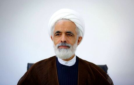 معاون حقوقی رئیس جمهور انتخاب شد